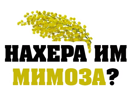 Стикер 9 из набора «March8 @stickersb2b»