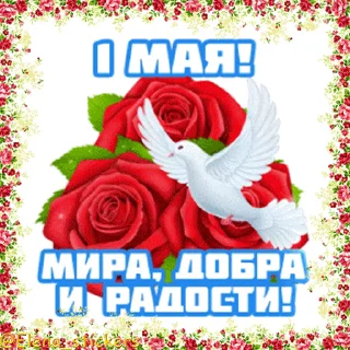 Стикер 5 из набора «1 Мая @Elena_stickers»