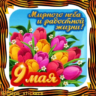 Стикер 18 из набора «9 Мая @Elena_stickers»