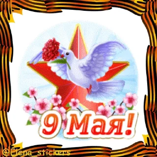 Стикер 6 из набора «9 Мая @Elena_stickers»
