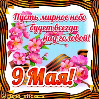 Стикер 9 из набора «9 Мая @Elena_stickers»