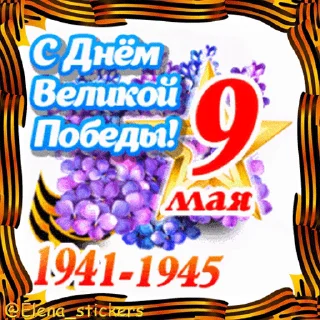 Стикер 10 из набора «9 Мая @Elena_stickers»