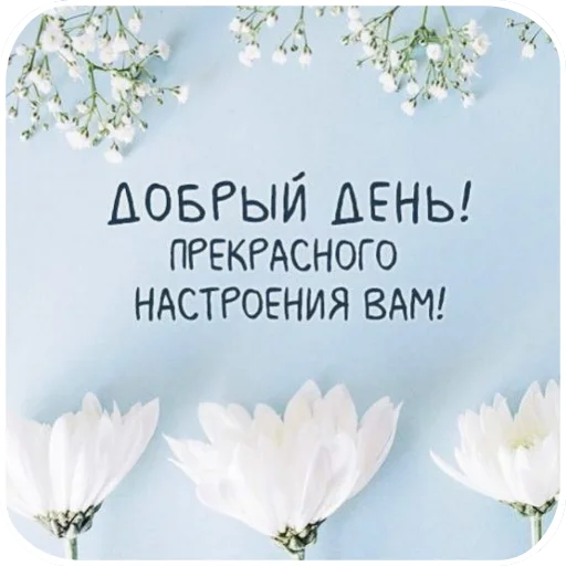 Стикер 15 из набора «Открытки #3 от @krolichi_lapochki»
