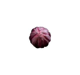 Стикер 13 из набора «Cuties @xkysluv»