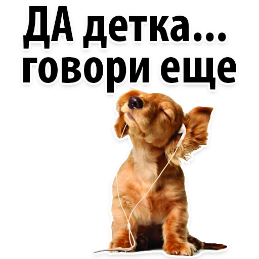 Стикер 4 из набора «Radio Day @stickersb2b»