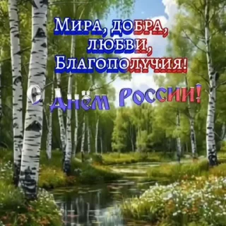 Стикер 12 из набора «Russia Day»
