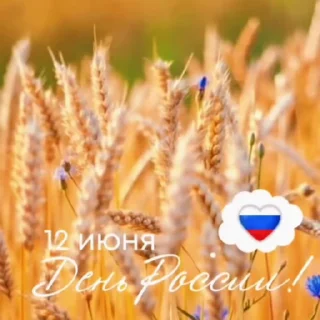 Стикер 17 из набора «Russia Day»