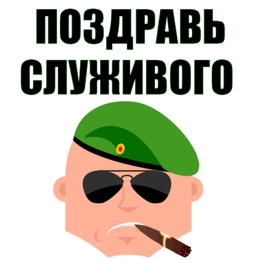 Стикер 14 из набора «February 23rd @stickersb2b»