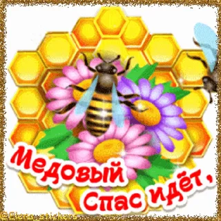 Стикер 3 из набора «Спасы августа @Elena_stickers»