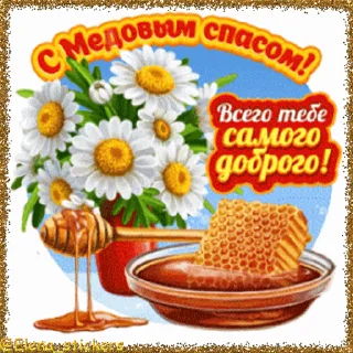 Стикер 5 из набора «Спасы августа @Elena_stickers»