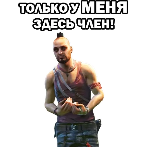 Стикер 15 из набора «Ваас Монтенегро (@yamstickers)»