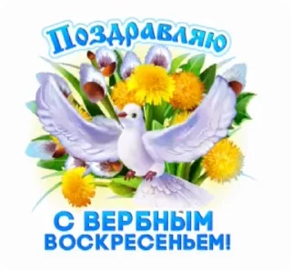 Стикер 14 из набора «@pozdravlenia0 ⬅️ Открытки тут»
