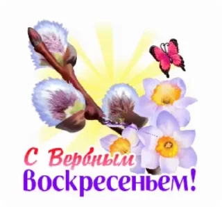 Стикер 18 из набора «@pozdravlenia0 ⬅️ Открытки тут»
