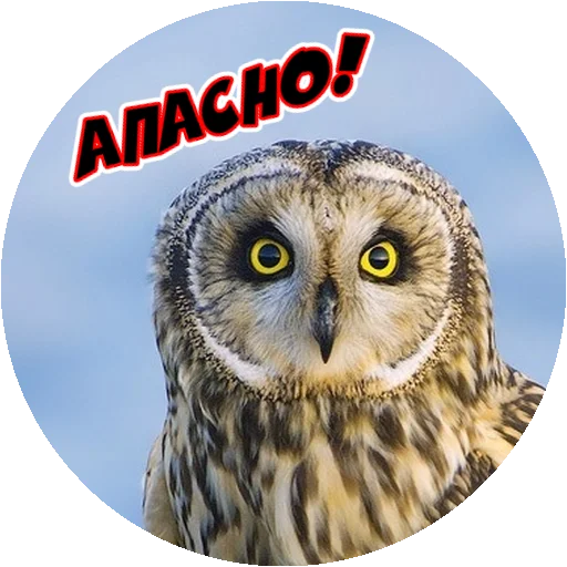 Стикер 17 из набора «Angry @stickersb2b»