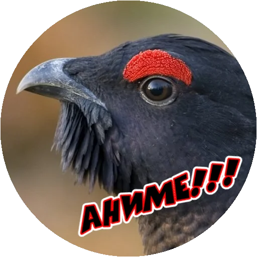 Стикер 3 из набора «Angry @stickersb2b»