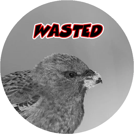 Стикер 5 из набора «Angry @stickersb2b»