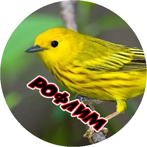 Стикер 10 из набора «Angry @stickersb2b»