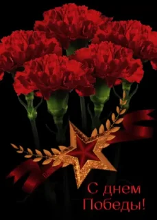 Стикер 2 из набора «Day of Victory @TVstickers»