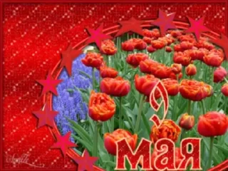 Стикер 16 из набора «Day of Victory @TVstickers»