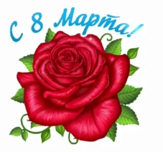 Стикер 20 из набора «@pozdravlenia0 ⬅️ Открытки тут»