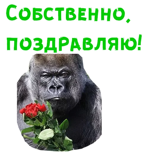 Стикер 1 из набора «Женский день :: @animesticks»