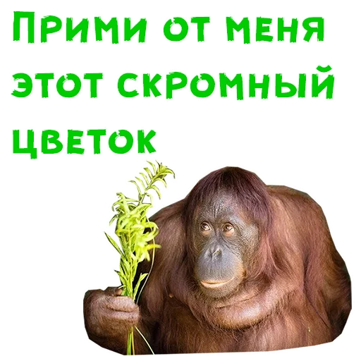 Стикер 11 из набора «Женский день :: @animesticks»