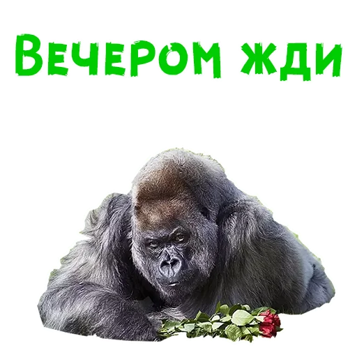 Стикер 12 из набора «Женский день :: @animesticks»
