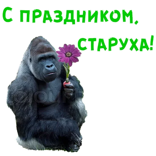 Стикер 13 из набора «Женский день :: @animesticks»