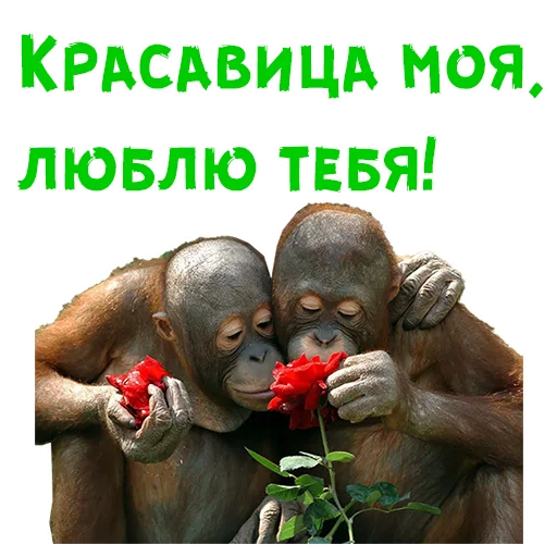 Стикер 14 из набора «Женский день :: @animesticks»