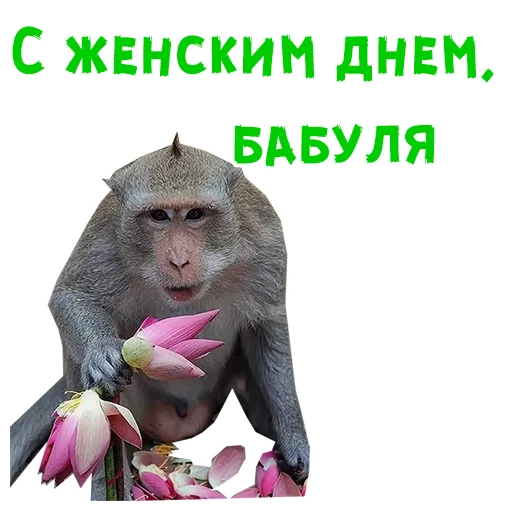 Стикер 16 из набора «Женский день :: @animesticks»