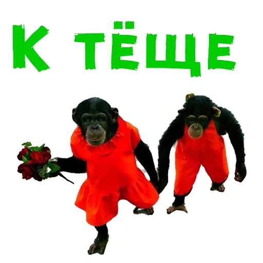 Стикер 18 из набора «Женский день :: @animesticks»