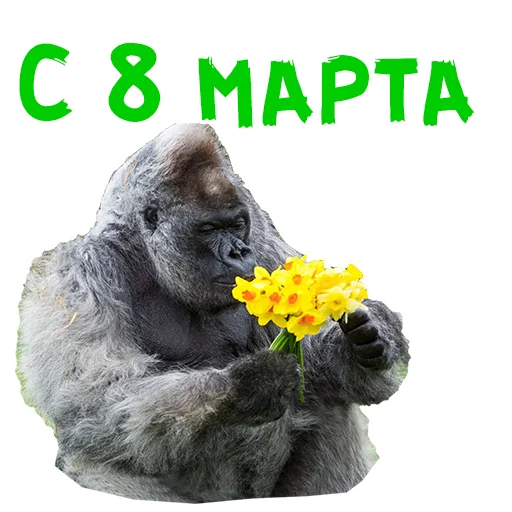 Стикер 19 из набора «Женский день :: @animesticks»