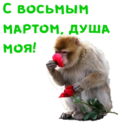Стикер 3 из набора «Женский день :: @animesticks»