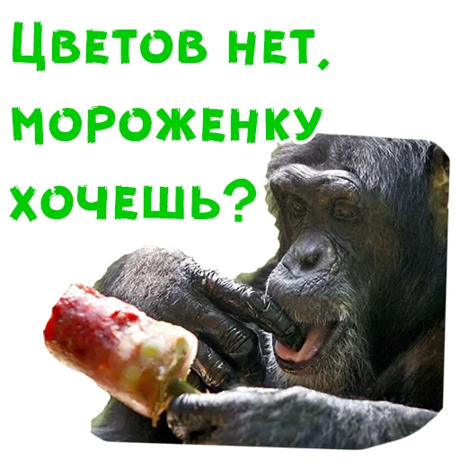 Стикер 5 из набора «Женский день :: @animesticks»