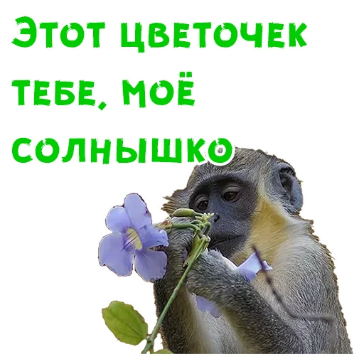Стикер 6 из набора «Женский день :: @animesticks»