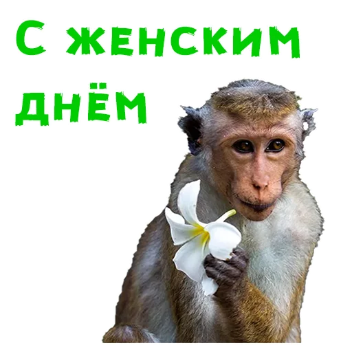 Стикер 7 из набора «Женский день :: @animesticks»