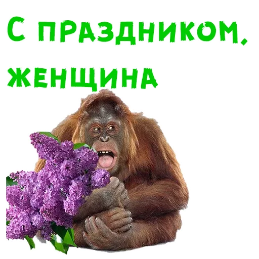 Стикер 8 из набора «Женский день :: @animesticks»
