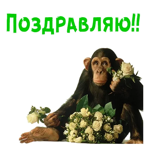 Стикер 9 из набора «Женский день :: @animesticks»